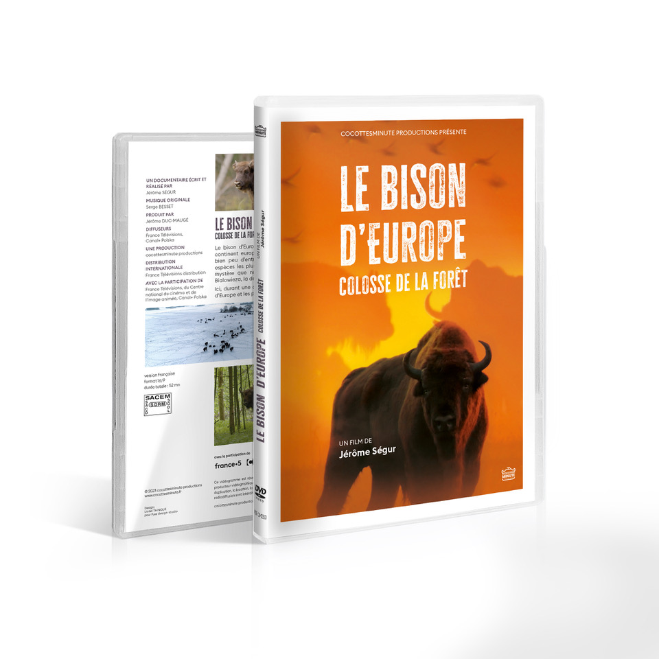 Le bison d'Europe, colosse de la forêt