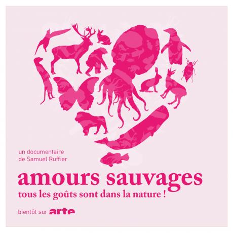 Amours sauvages
