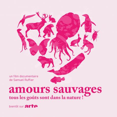 Amours sauvages