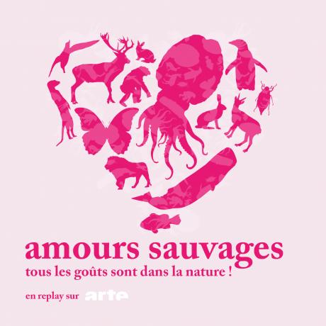 Amours sauvages