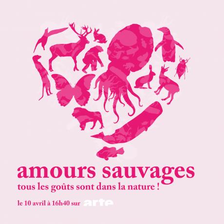 Amours sauvages