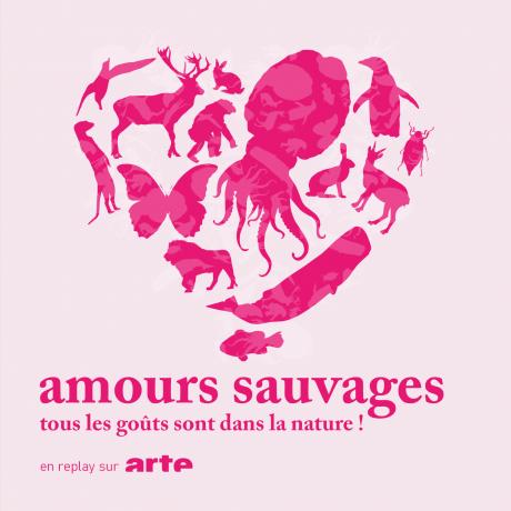 Amours sauvages