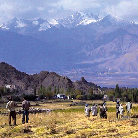 Ladakh, terre des cimes