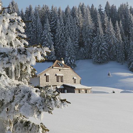 Un hiver à la Pesse