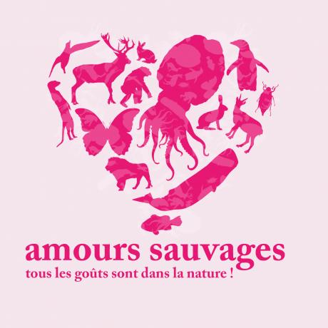 Amours sauvages