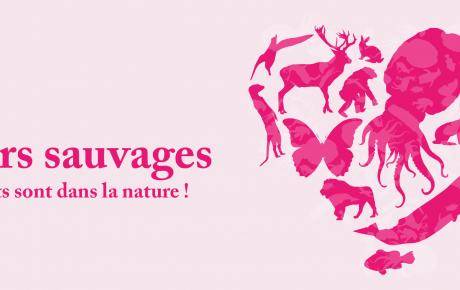 Amours sauvages