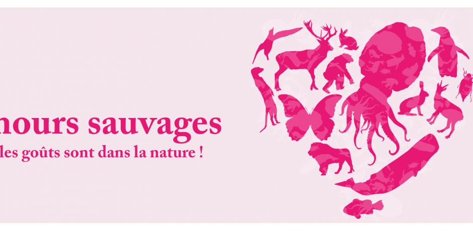 Amours sauvages