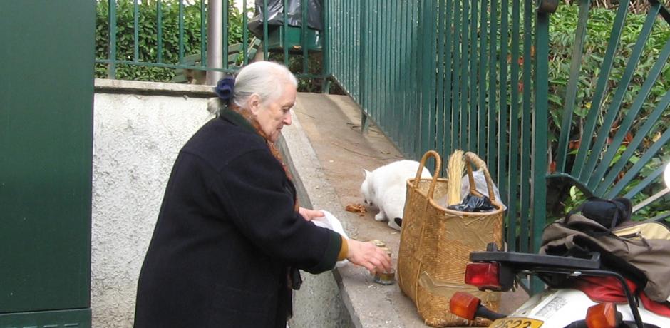 Des animaux et des hommes