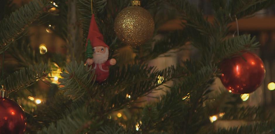 Le grand voyage du sapin de Noël