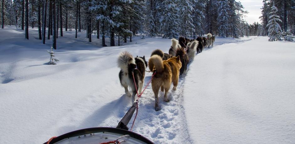 Un hiver à la Pesse