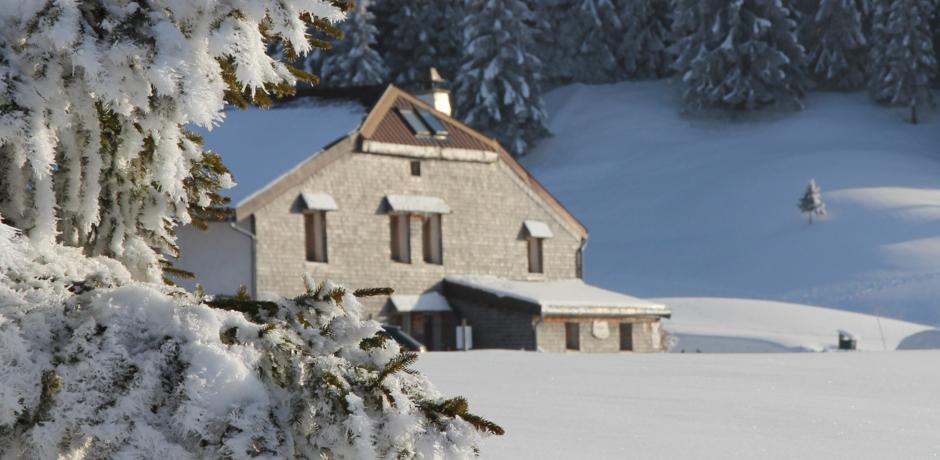 Un hiver à la Pesse