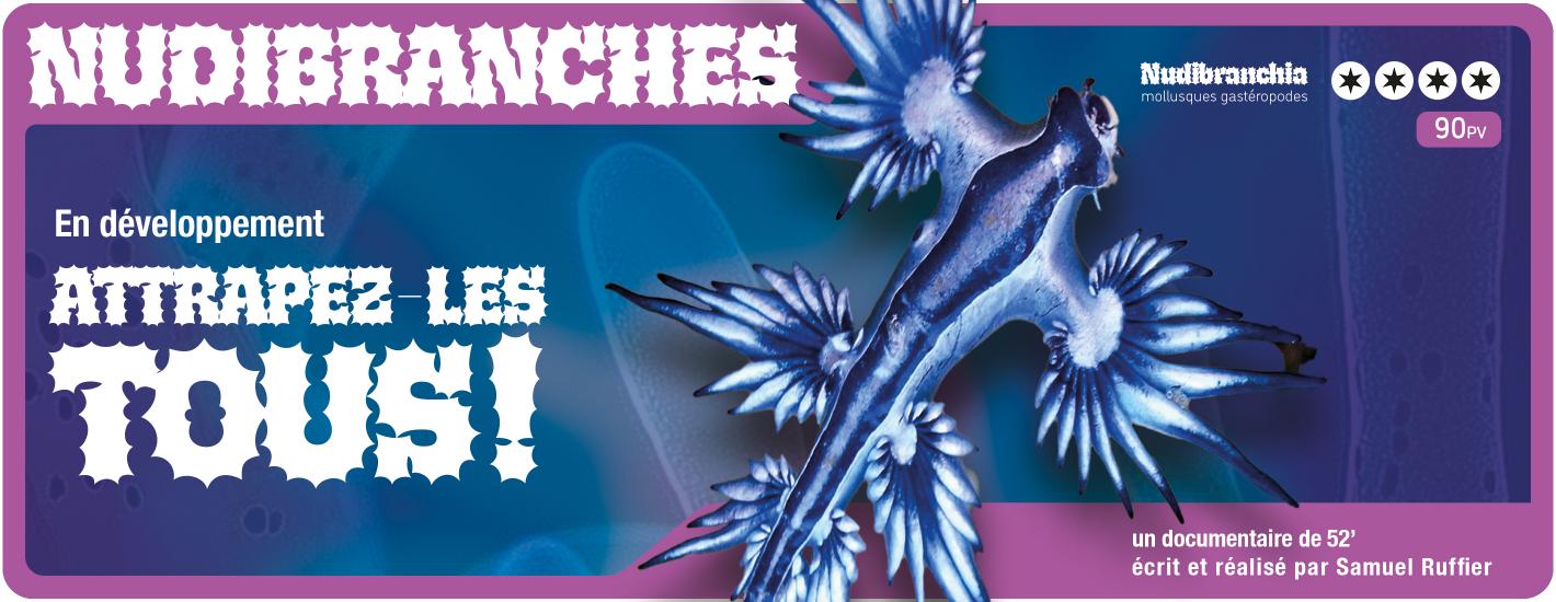 NUDIBRANCHES
