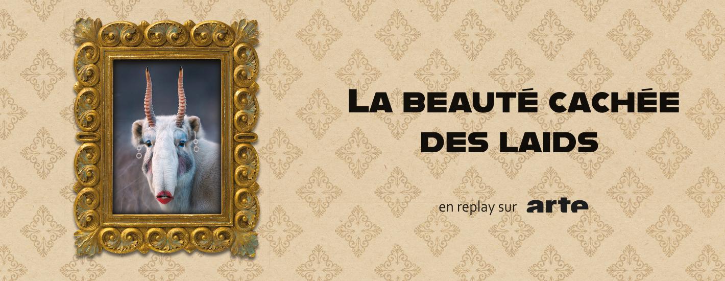 La beauté cachée des laids