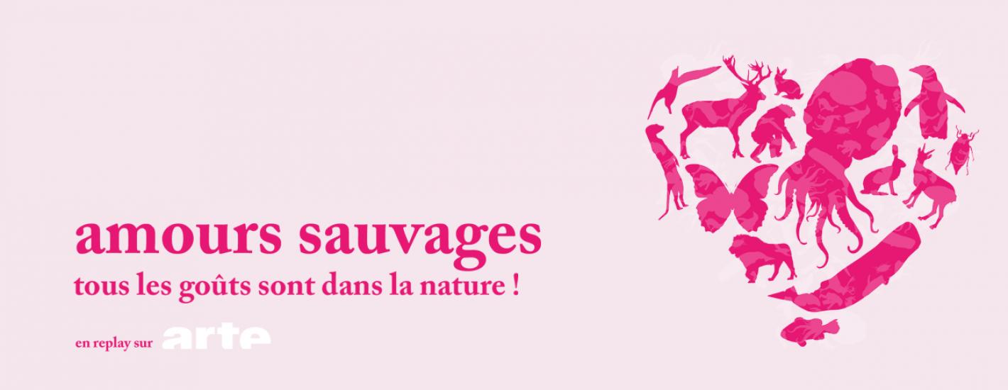Amours sauvages
