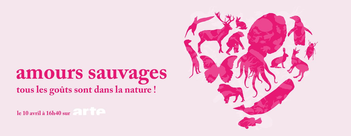 Amours sauvages